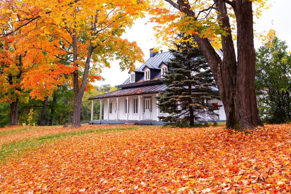 Essential Fall Plumbing Maintenance Checklist