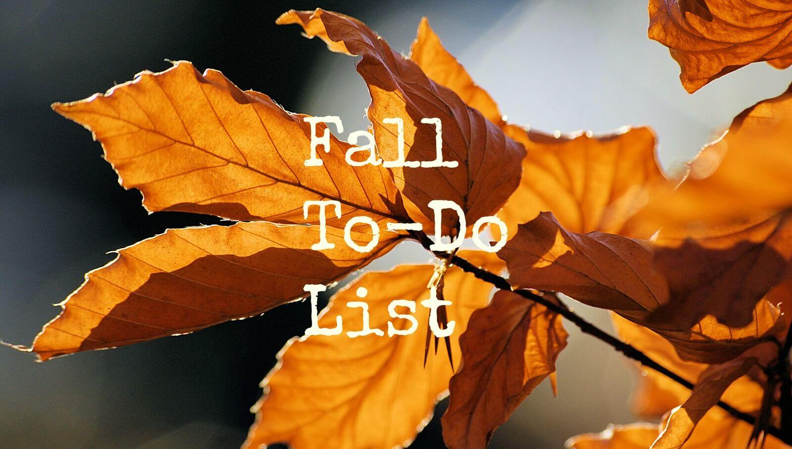 Leaves - Fall To Do List
