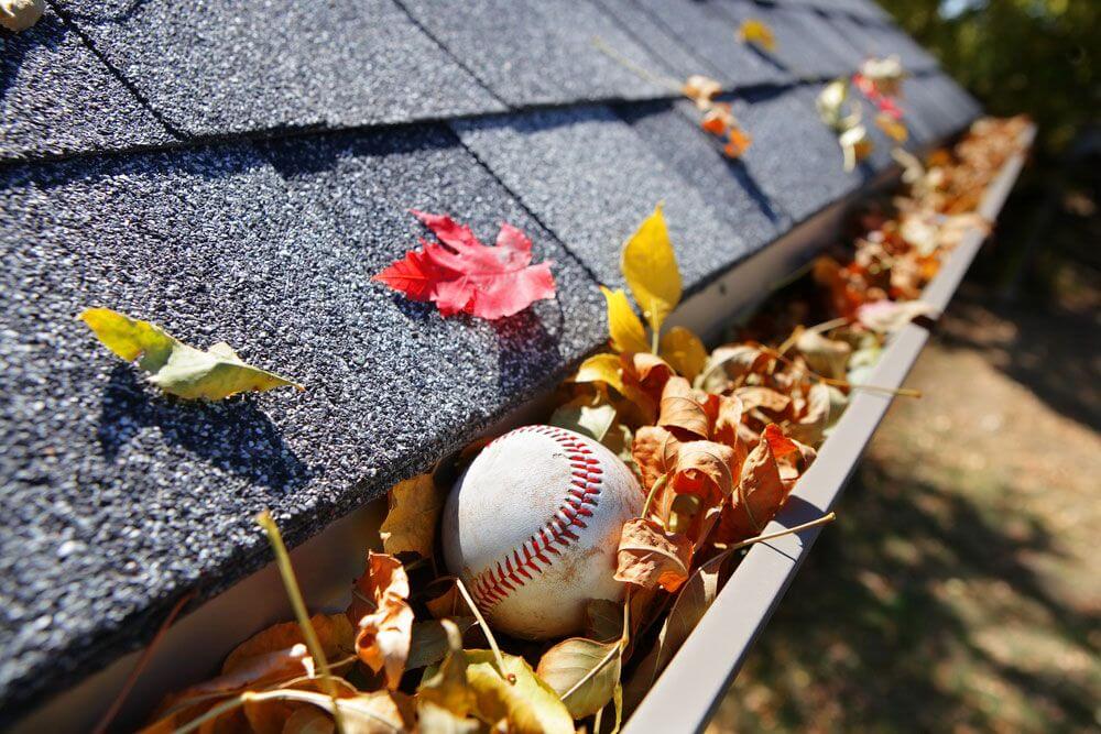 Baseball Stuck in Leaf Covered Gutters